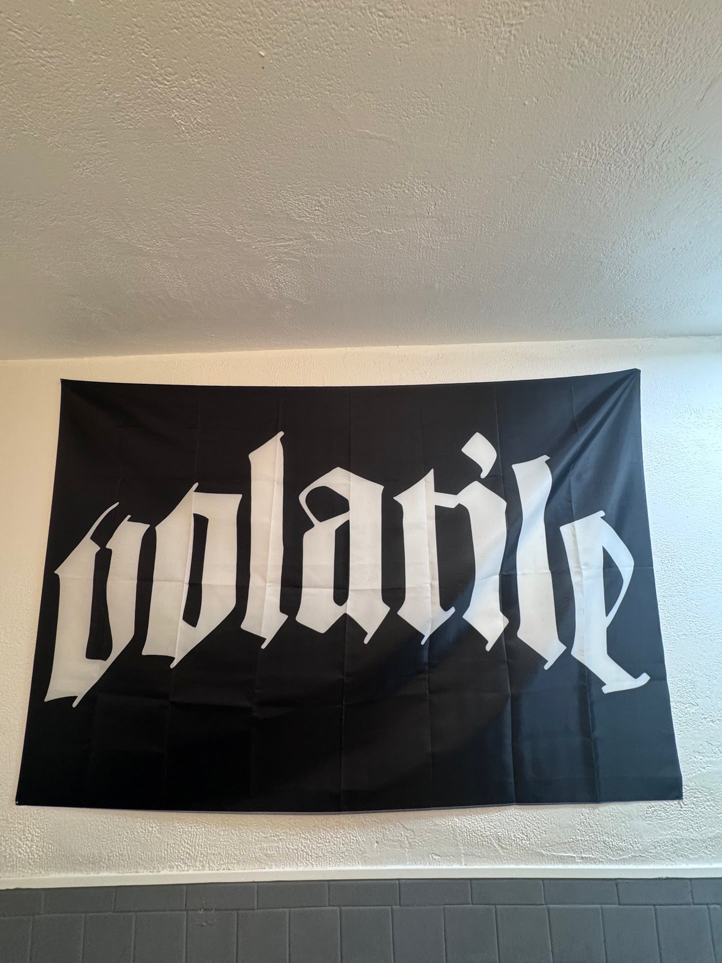 Logo Flag v2