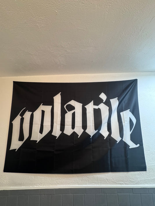 Logo Flag v2